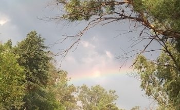 Remis full Tour San Pablo ️