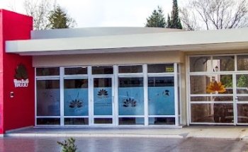 Liliana Basile Viaggio