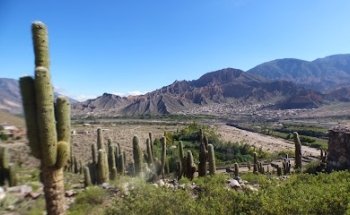 Rumbos a Medida / Rajate.com