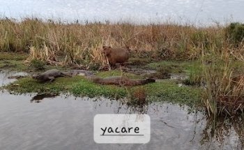 Turismo Creativo de Misión Córdoba