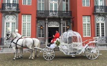 Stalhouderij Hans Joosen