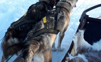 Nordland Reiseagentur