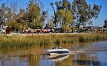 Undersecretary of Tourism