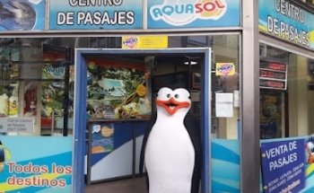 Central de Pasajes inc. S.A.