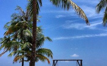 Vanya Jenkins Travel Counsellor