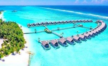 Mark Gibson - Travel Counsellor