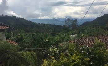 ZoOming.co Tours & Travel