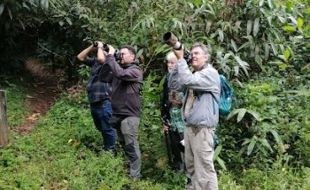 Colombia Birding Tours | Ocampo Expeditions