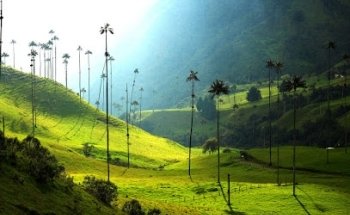 Travel On Go Colombia Bilingual Guide Quindío Colombia