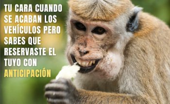 Live Colombia Travel Sas