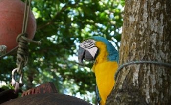 MIL PTO & Travel Guía de Ecoturismo