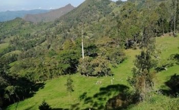 Turismo Pacho Explorer