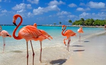 TuAsesorTurístico.com