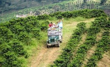 Promotora Turística D'Sevilla Valle
