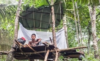 AMAZON JUNGLE JOHNNY TOURS