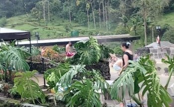 Sales tours y travels