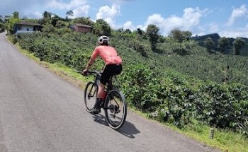 Pedaling Coffee - Bike Tours & Specialty Coffee