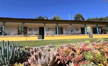 Tour cafetero: Café Historias