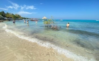 VIAJES Y TURISMO CARTAGENA MAGICA