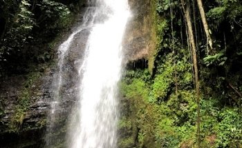 Agencia De Viajes Green Valley Turismo