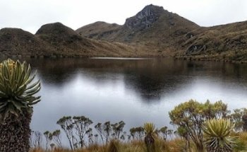 Damaná Rutas, Turismo y Café