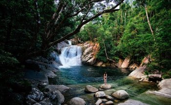 Global Travel Services