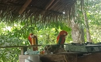 Agencia de viajes operadora.cusuinsi huasi.