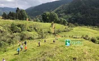 Caminando por el Valle