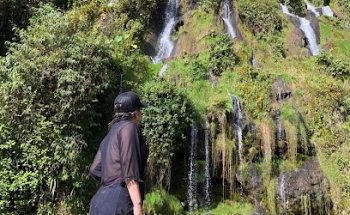 NATURE TOURS AND ADVENTURE