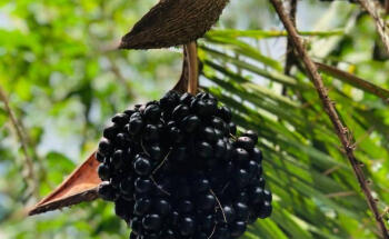 RIVERS TOURS MAGDALENA