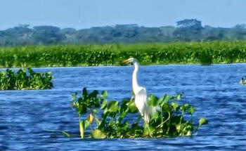 RIVERS TOURS MAGDALENA