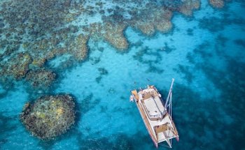 Passions of Paradise - Great Barrier Reef Tours Cairns