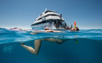 Down Under Cruise and Dive