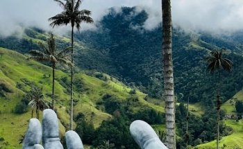 TaxiTours VIP Travel & Coffee