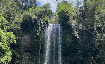 Cairns Adventure Group