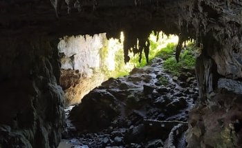 Guía Turístico Local