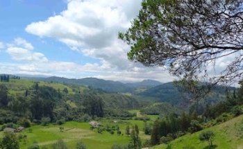 Primitivo Expediciones