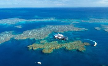 Sunlover Reef Cruises