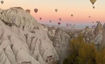 TRAVELLER MC AGENCIA DE VIAJES