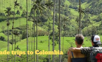 Lulo Colombia Travel