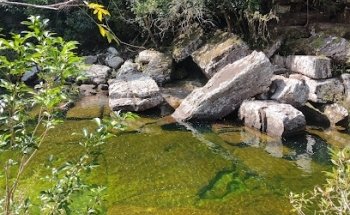 Caño Cristales Aventura Tours