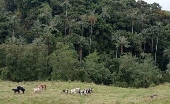 GS Operador Turistico