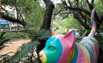 Av tour Cali turismo