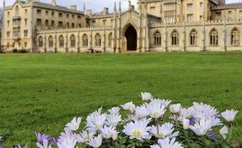 Cambridge Walking Tours