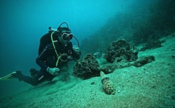 Diving Taganga - Buceo Taganga
