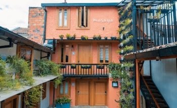 Masaya Bogotá