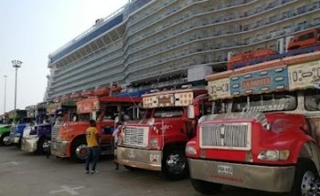 Chiva Rumbera Cartagena