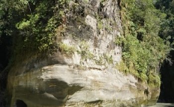 Llano Tours Colombia