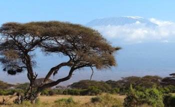 Lufthansa City Center Reisebüro MD-Reisen - Chemnitz