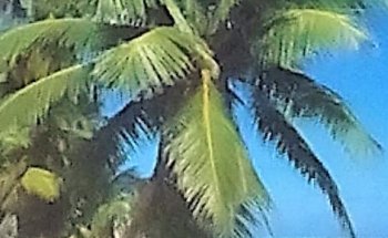 Reisebüro Urlaubsglück